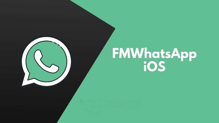 Cara Install FM WhatsApp Versi Terbaru Tahun 2023