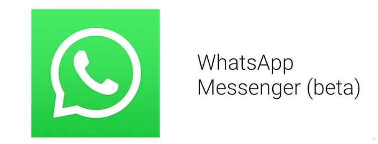 Download Whatsapp Beta