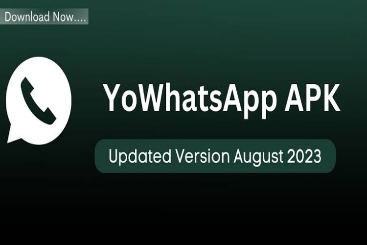 Link Download Yowhatsapp 9.95 apk