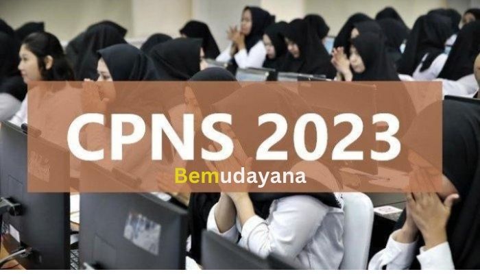 Cek Formasi CPNS SSCAN 2023 Di Berbagai Kementerian Di Indonesia