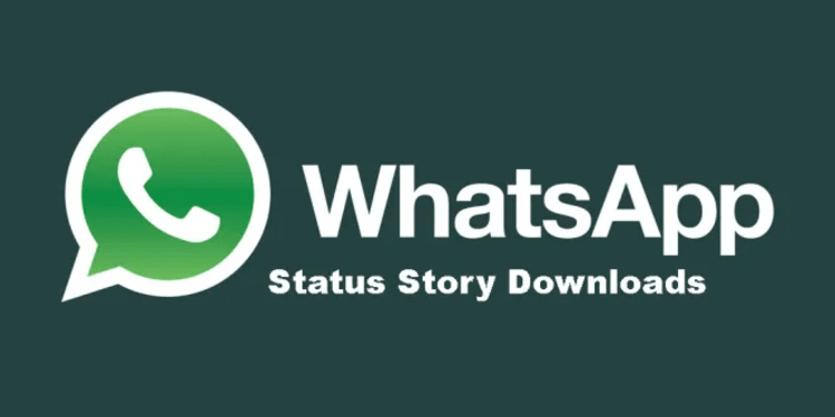 Fitur Status Saver WA Story Download Apk