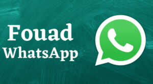 Fouad Whatsapp 9.81