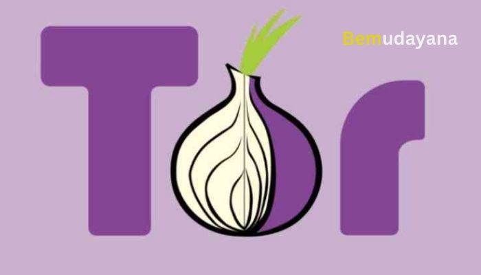 Mengenal Tor Browser Apk Download