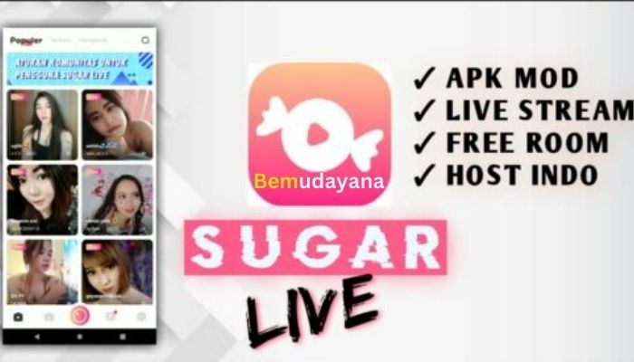 Review Sugar Live Apk Terbaru